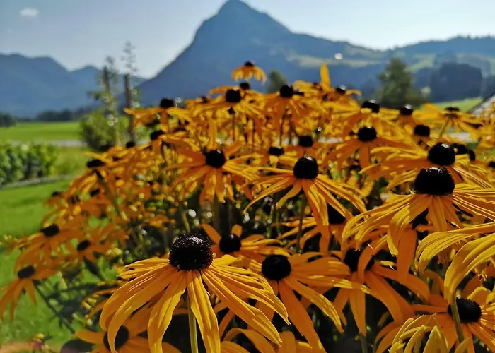 Haus Edelgruen * Tauplitz